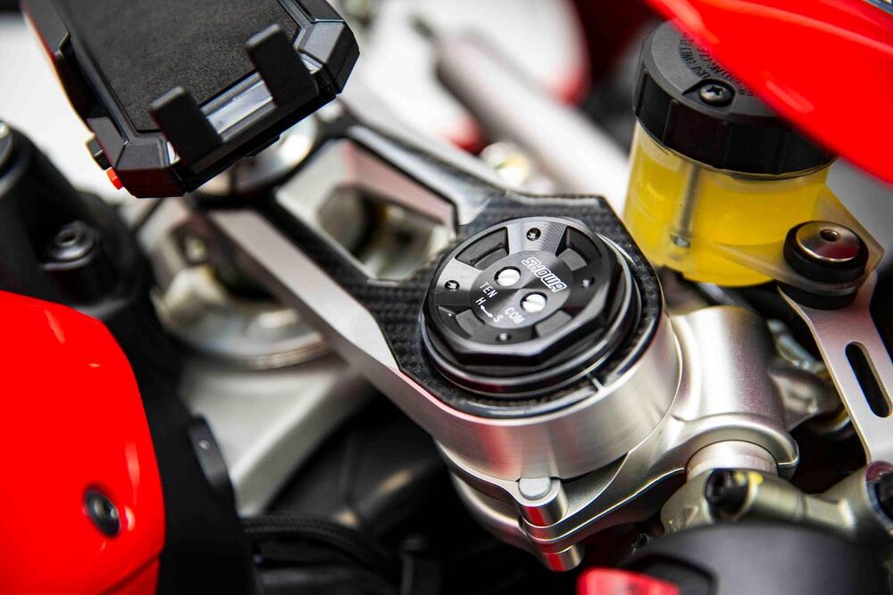 Ducati Panigale V4 1100 (2018 - 19) (11)