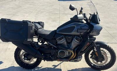 Harley-Davidson Pan America 1250 Special (2020 - 25) usata