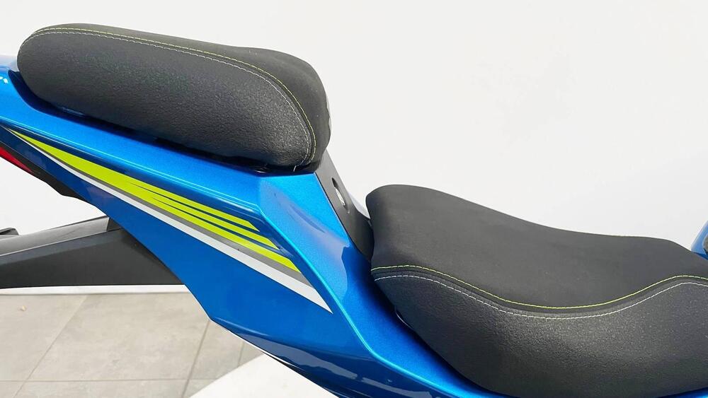 Suzuki GSX-R1000 (2017 - 18) (9)