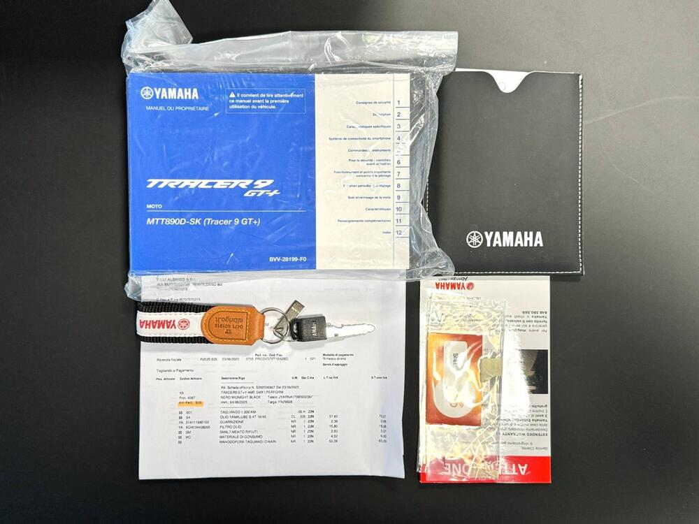 Yamaha Tracer 9 GT+ Y-AMT (2025) (19)