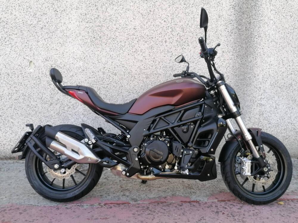 Benelli 502 C (2021 - 25)