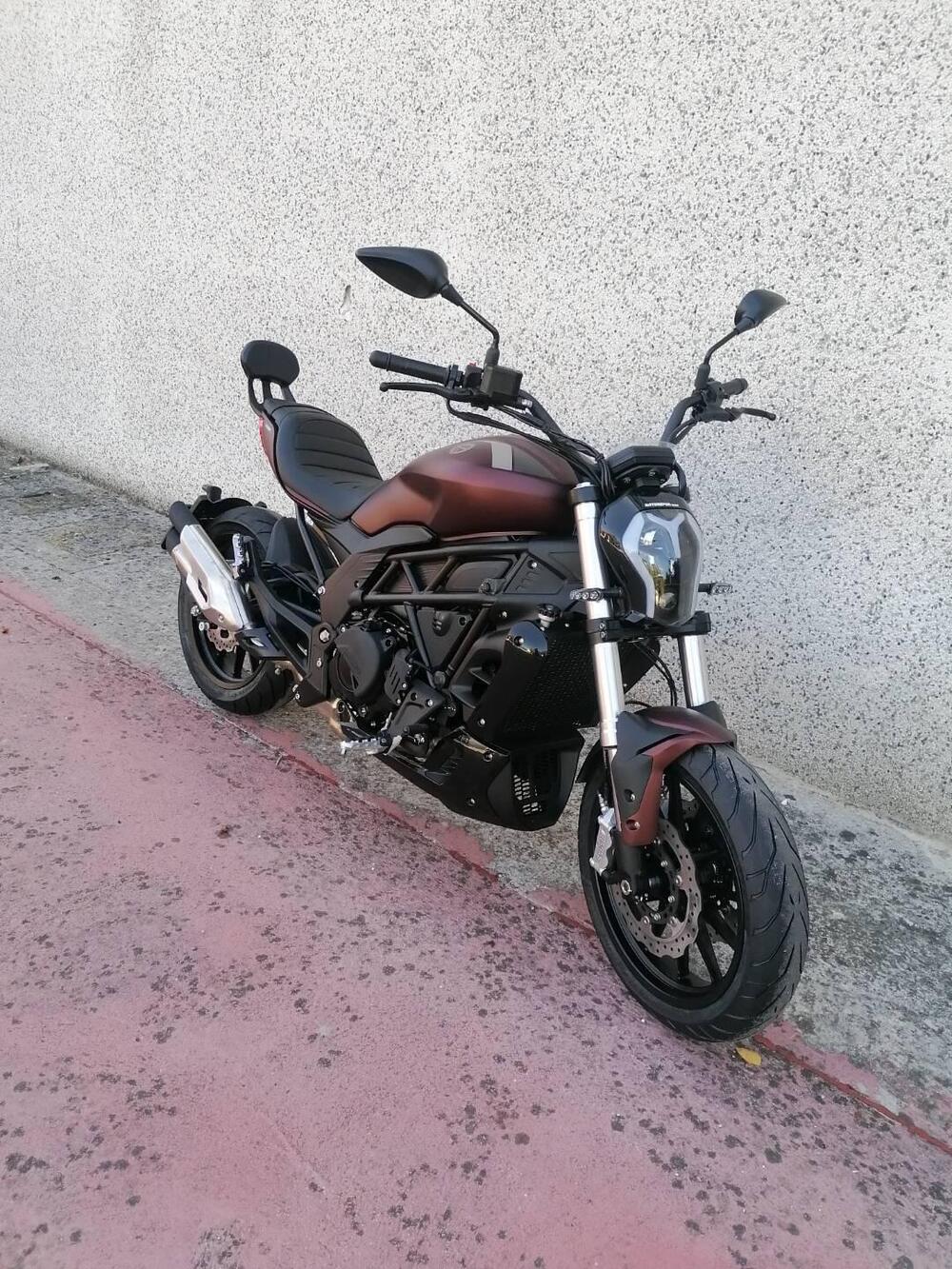 Benelli 502 C (2021 - 25) (2)