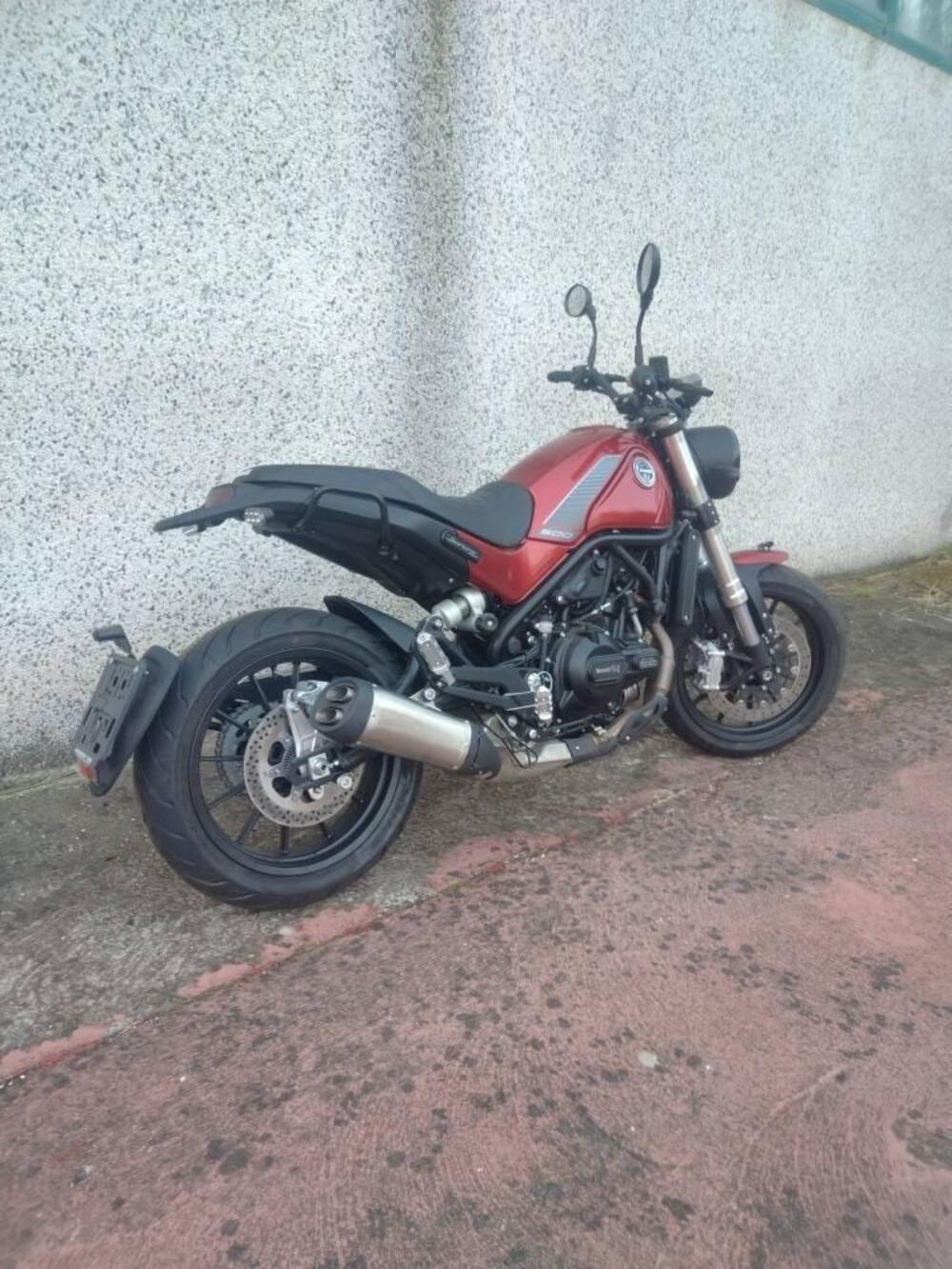 Benelli Leoncino 500 (2021 - 25) (3)