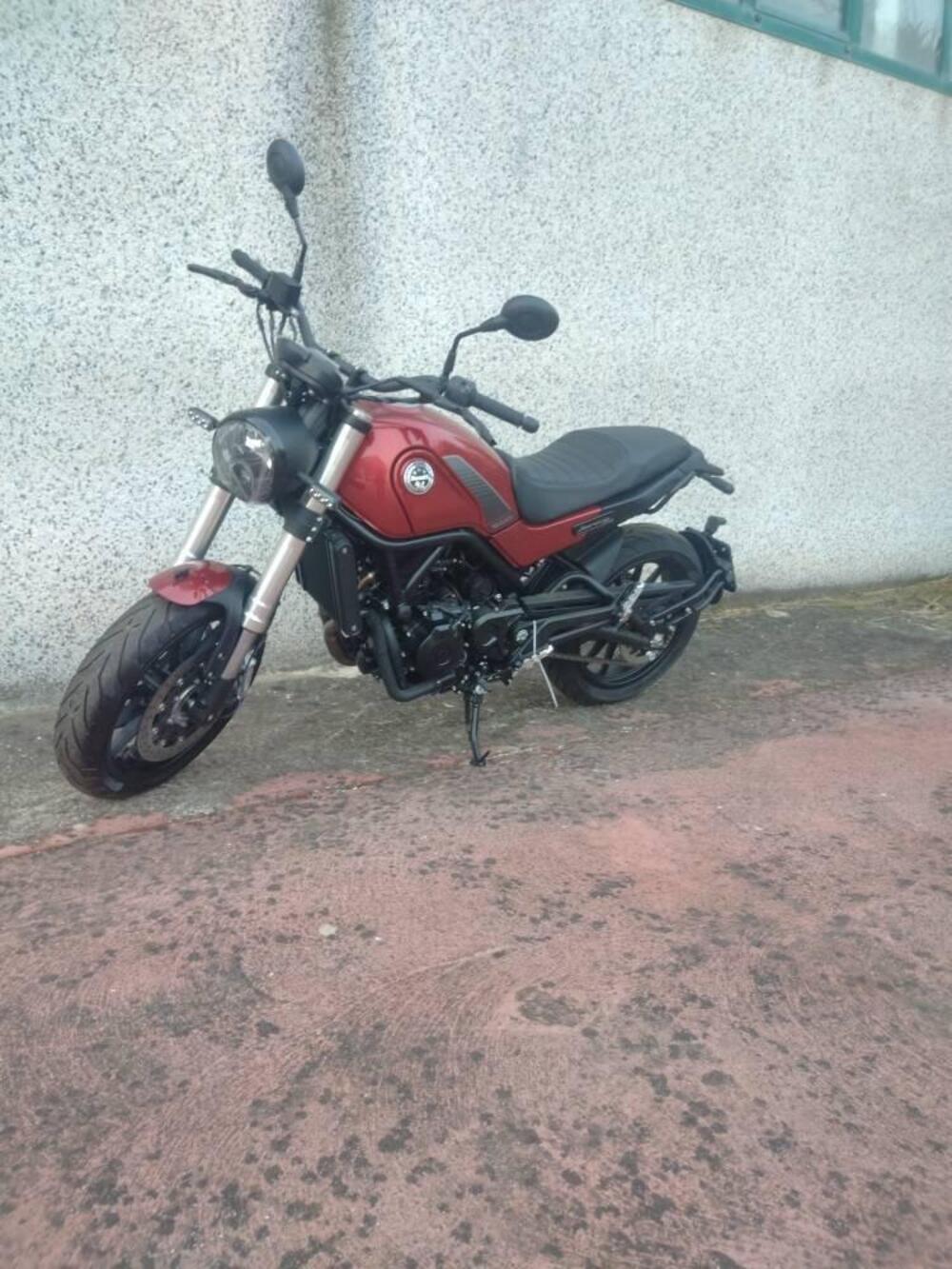 Benelli Leoncino 500 (2021 - 25) (5)