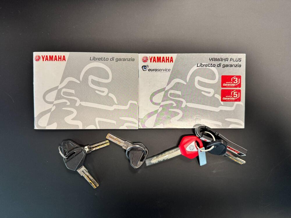 Yamaha XT1200Z Super Ténéré ABS (2017 - 20) (19)