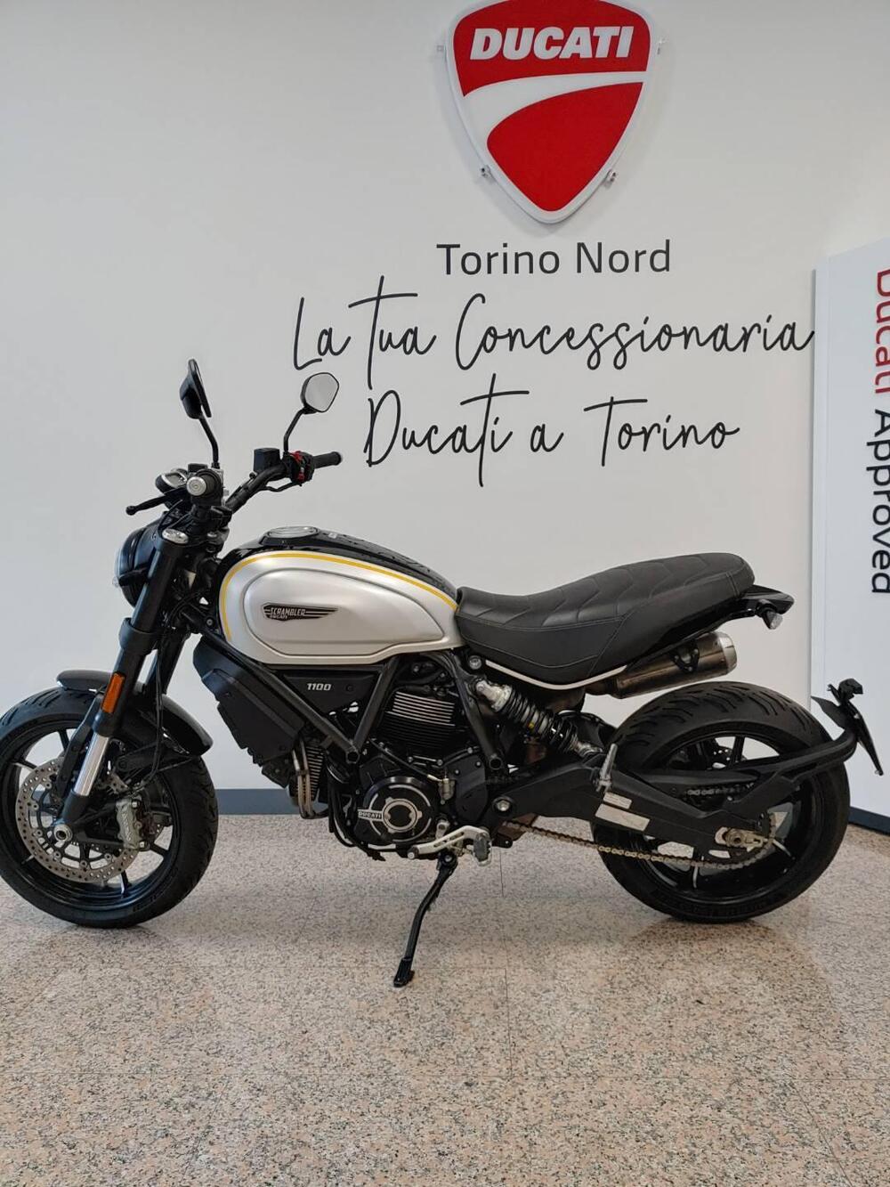 Ducati Scrambler 1100 Pro (2020 - 22) (4)