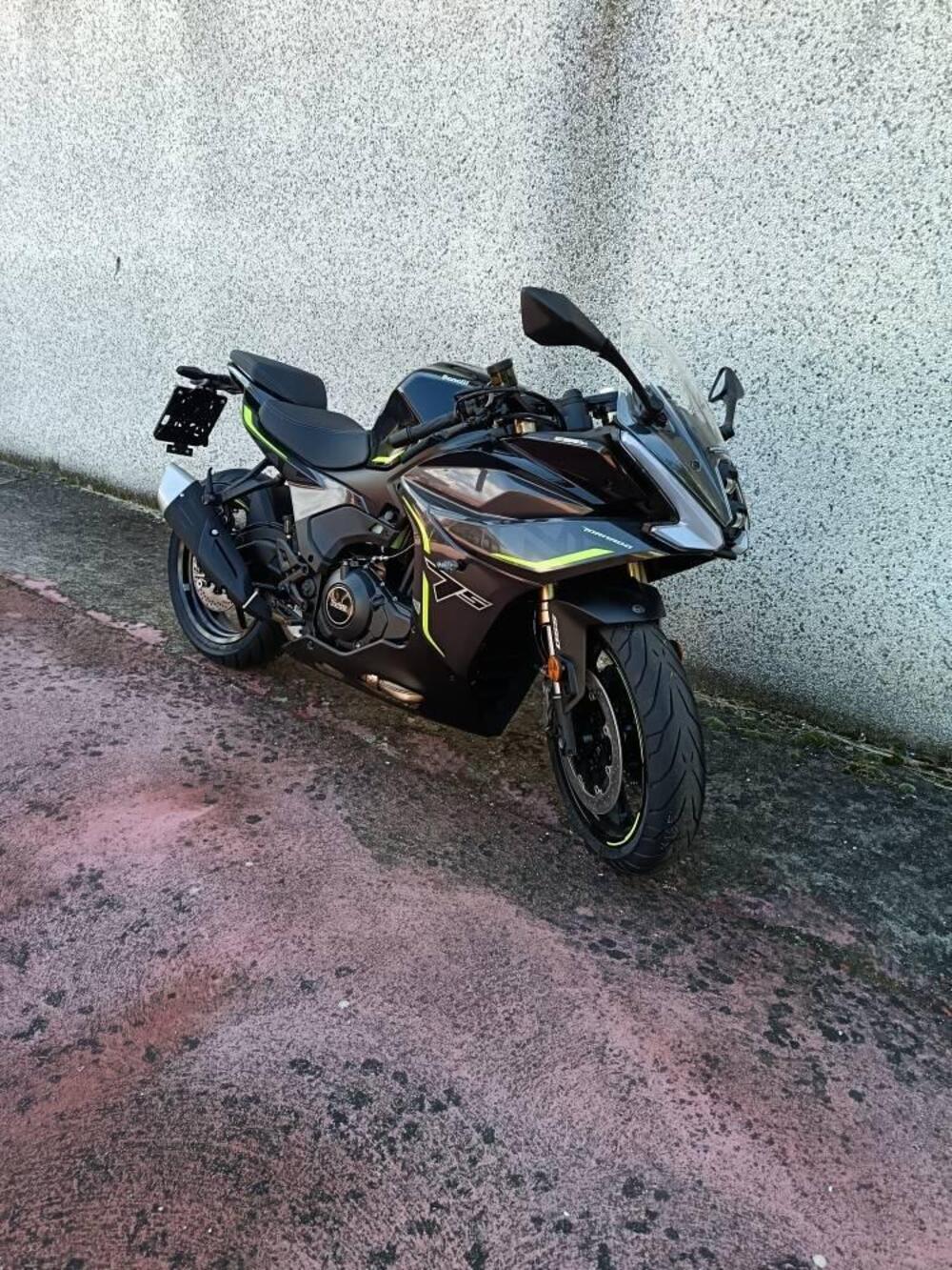 Benelli Tornado 550 (2025 - 26) (2)