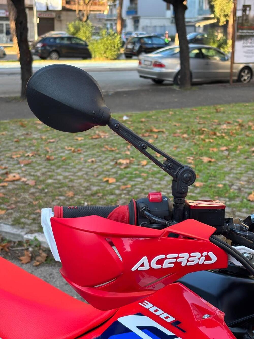 Honda CRF 300 L (2021 - 24) (3)