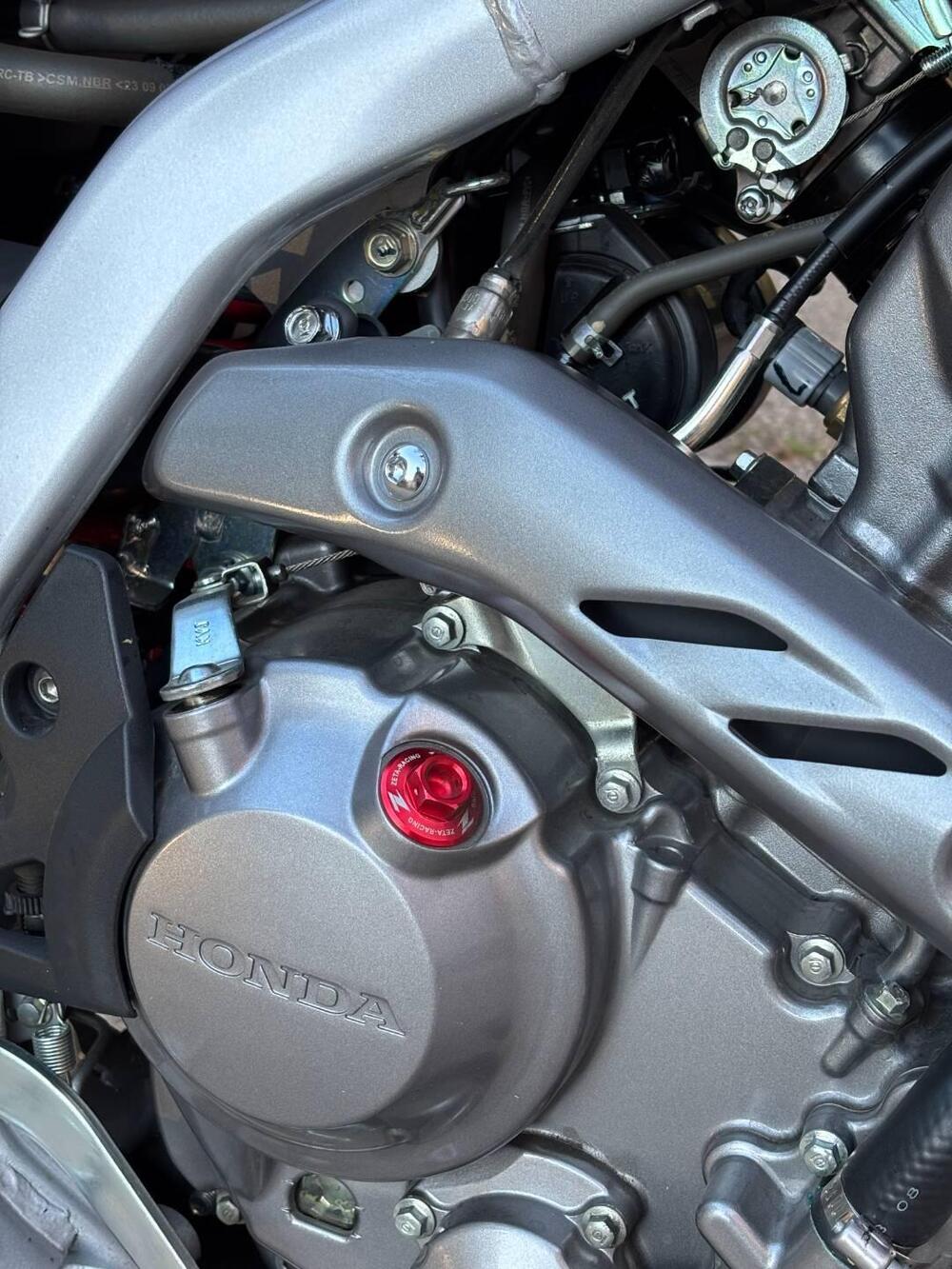 Honda CRF 300 L (2021 - 24) (8)