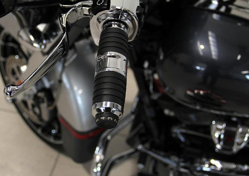 Harley-Davidson 117 Street Glide (2018 - 20) - FLHXSE (16)