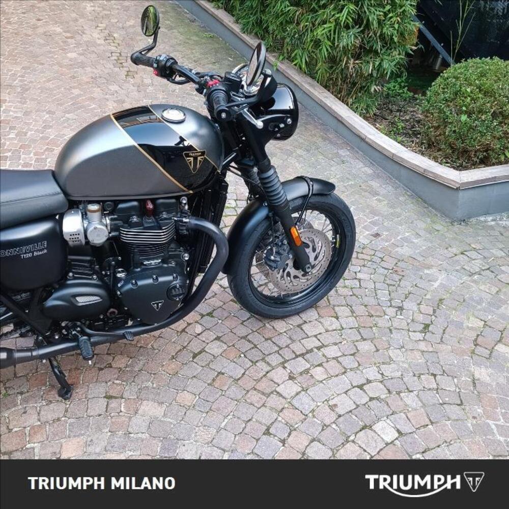 Triumph Bonneville T120 (2016 - 20) (3)