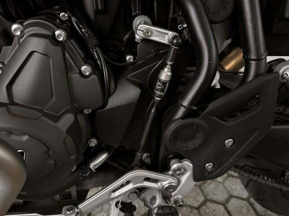 Triumph Tiger 900 Rally Pro (2020 - 23) (9)