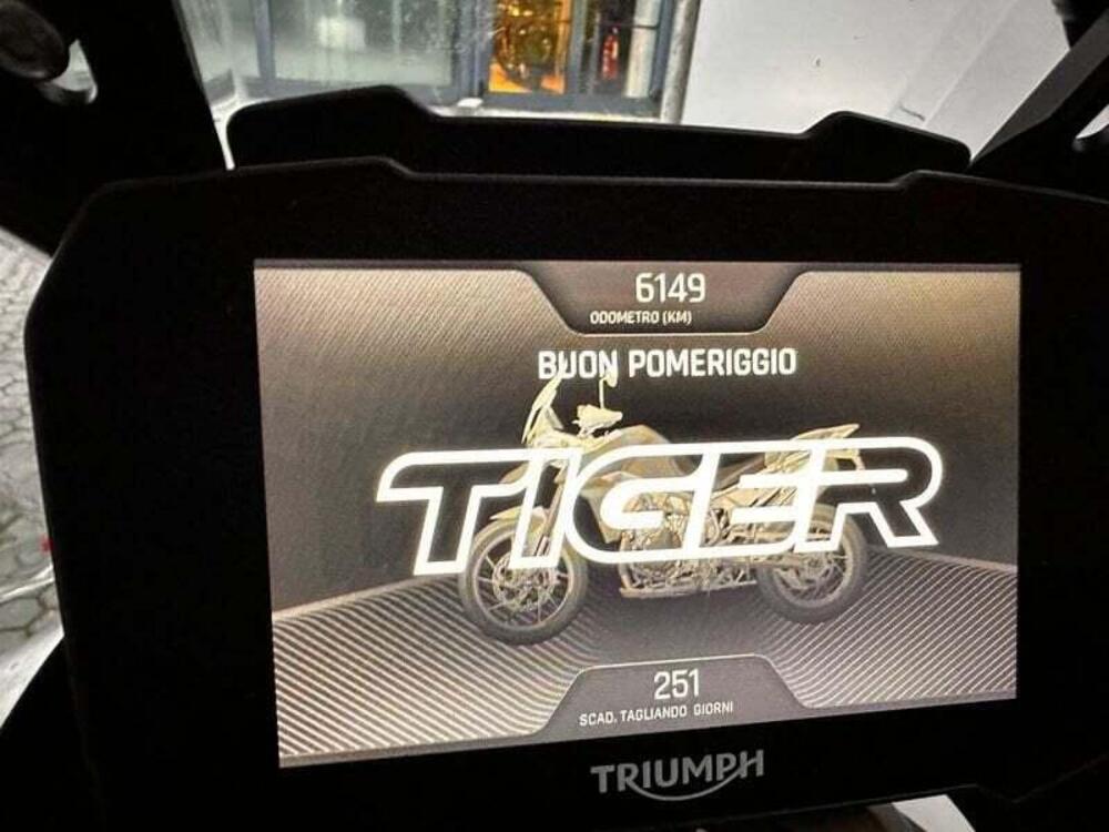 Triumph Tiger 900 Rally Pro (2020 - 23) (4)