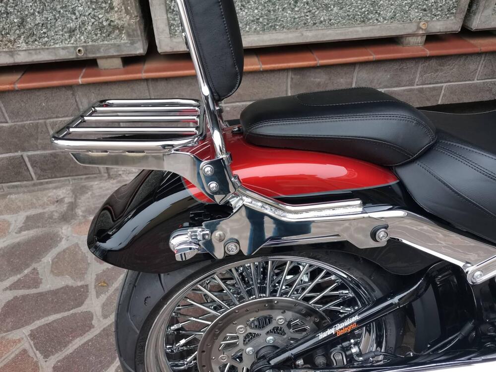 Harley-Davidson Fat Boy 117 (2025) (7)