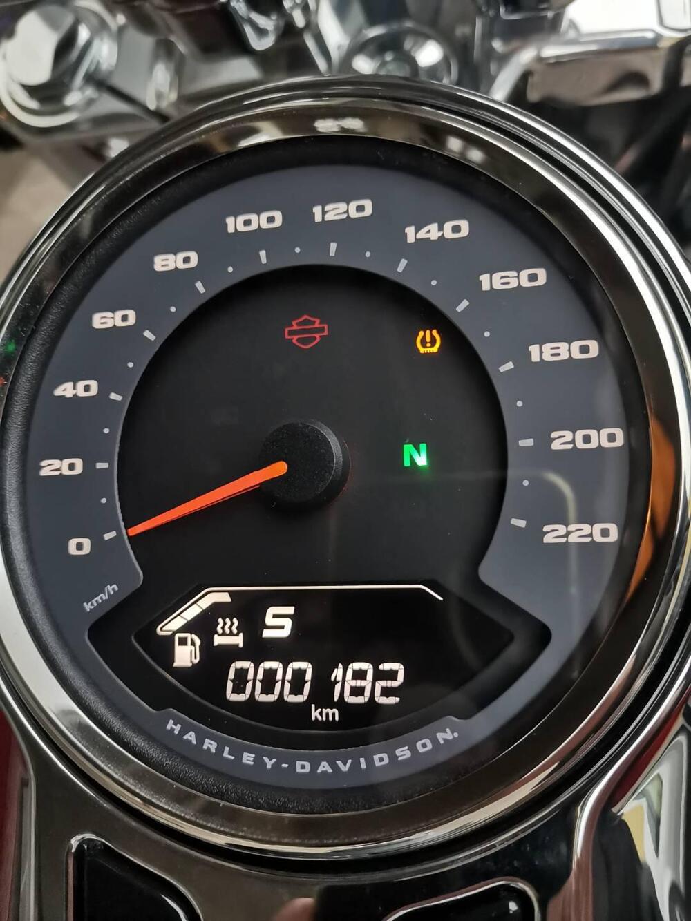 Harley-Davidson Fat Boy 117 (2025) (9)