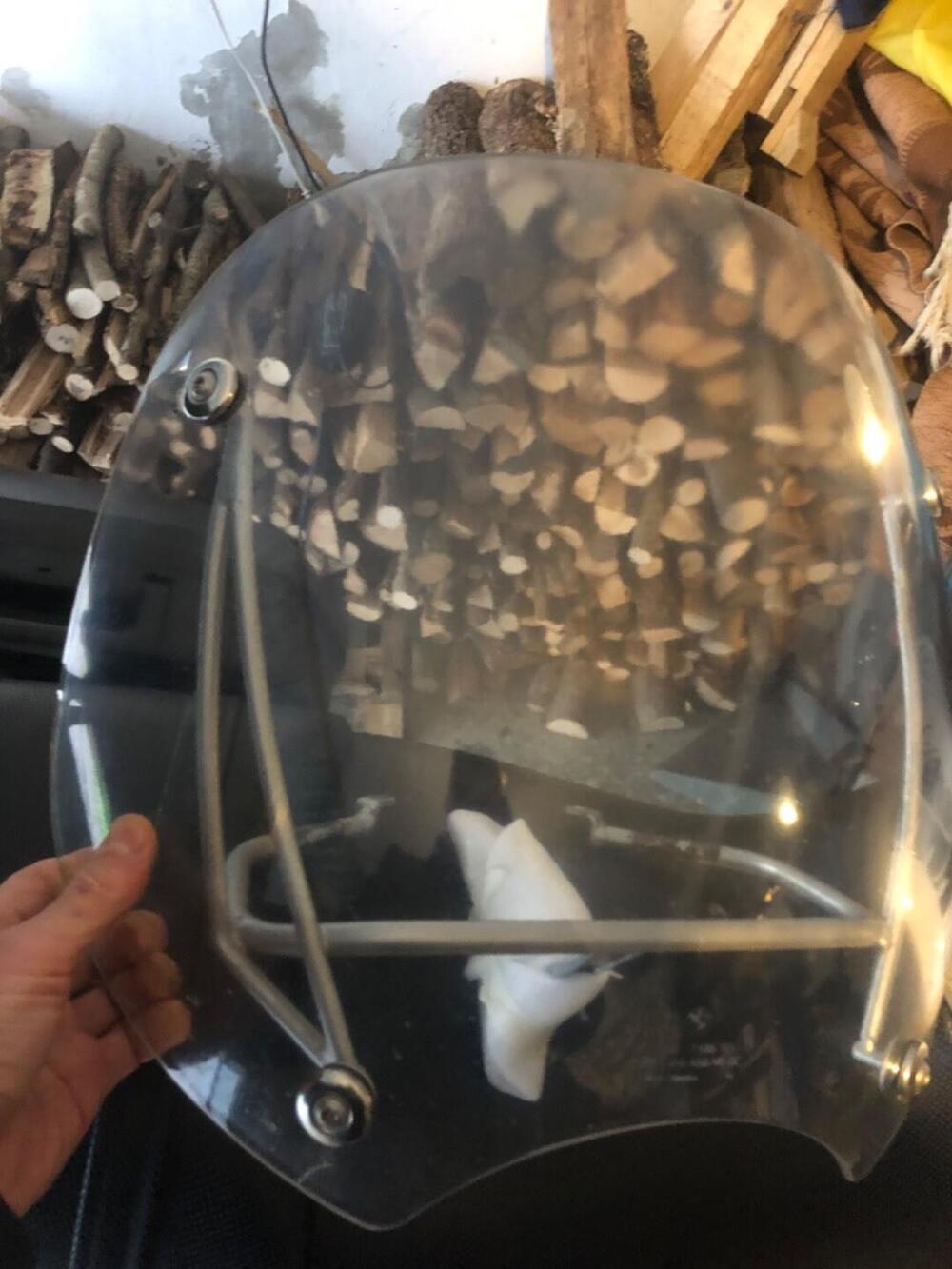 Bmw R 1150 R (2000 - 07) (8)