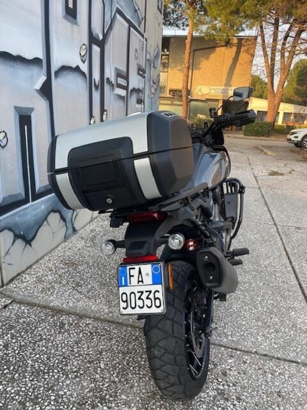 Harley-Davidson Pan America 1250 Special (2020 - 25) (3)