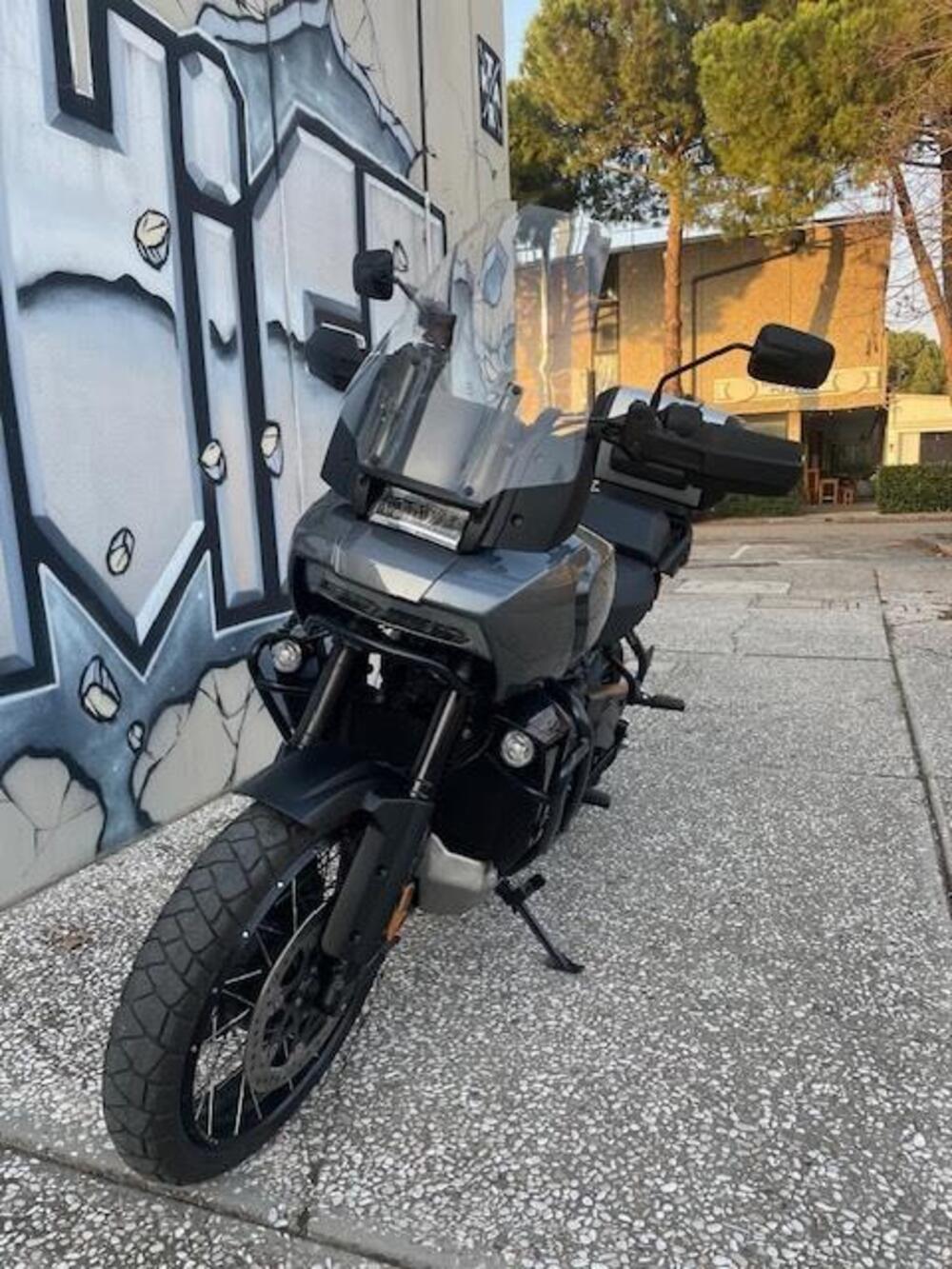 Harley-Davidson Pan America 1250 Special (2020 - 25) (4)