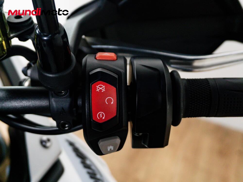 Triumph Tiger 900 GT (2024 - 25) (13)