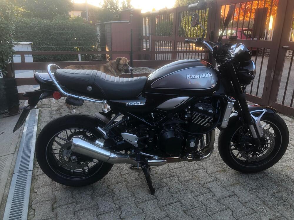 Kawasaki Z 900 RS (2022 - 25) (3)