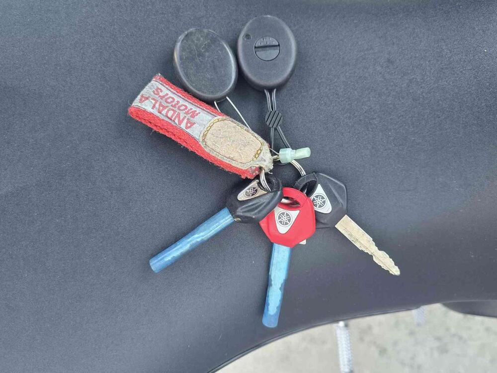 Yamaha YZF R1 (2007 - 08) (18)