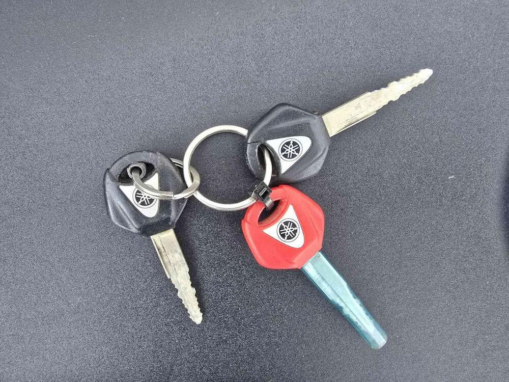 Yamaha YZF R6 (2006 - 07) (19)