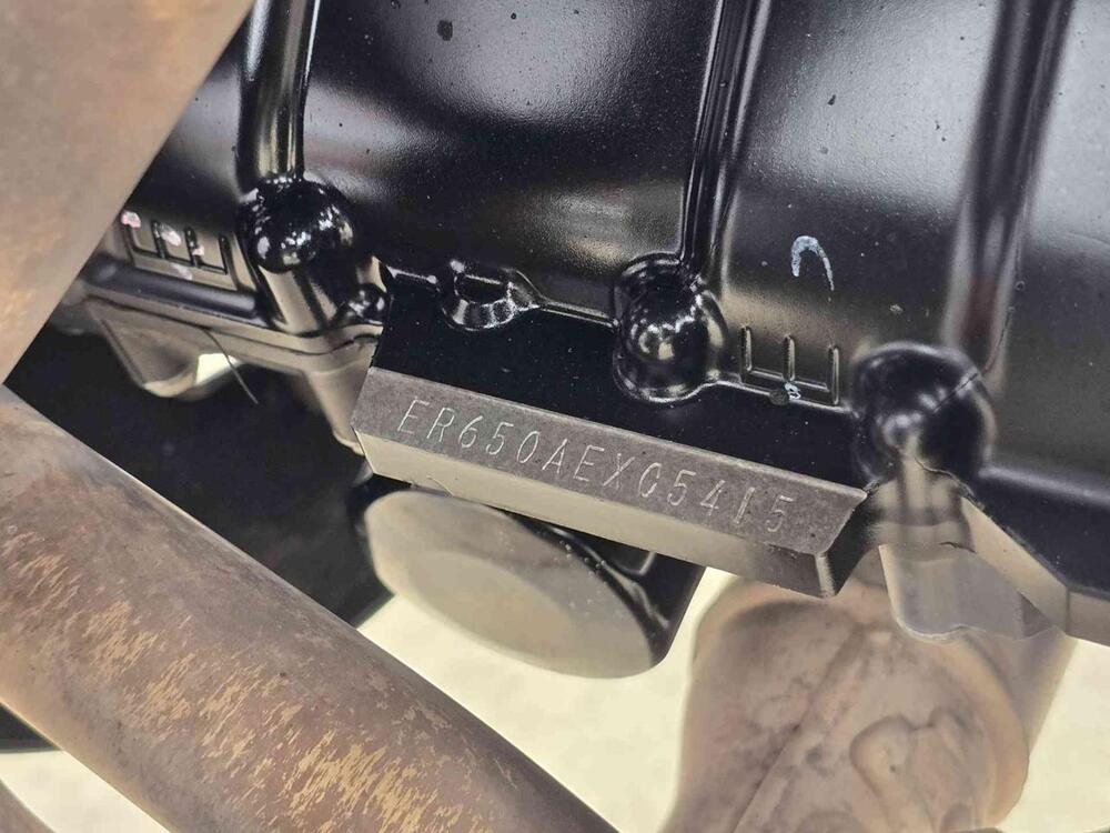 Kawasaki Versys 650 (2017 - 20) (17)