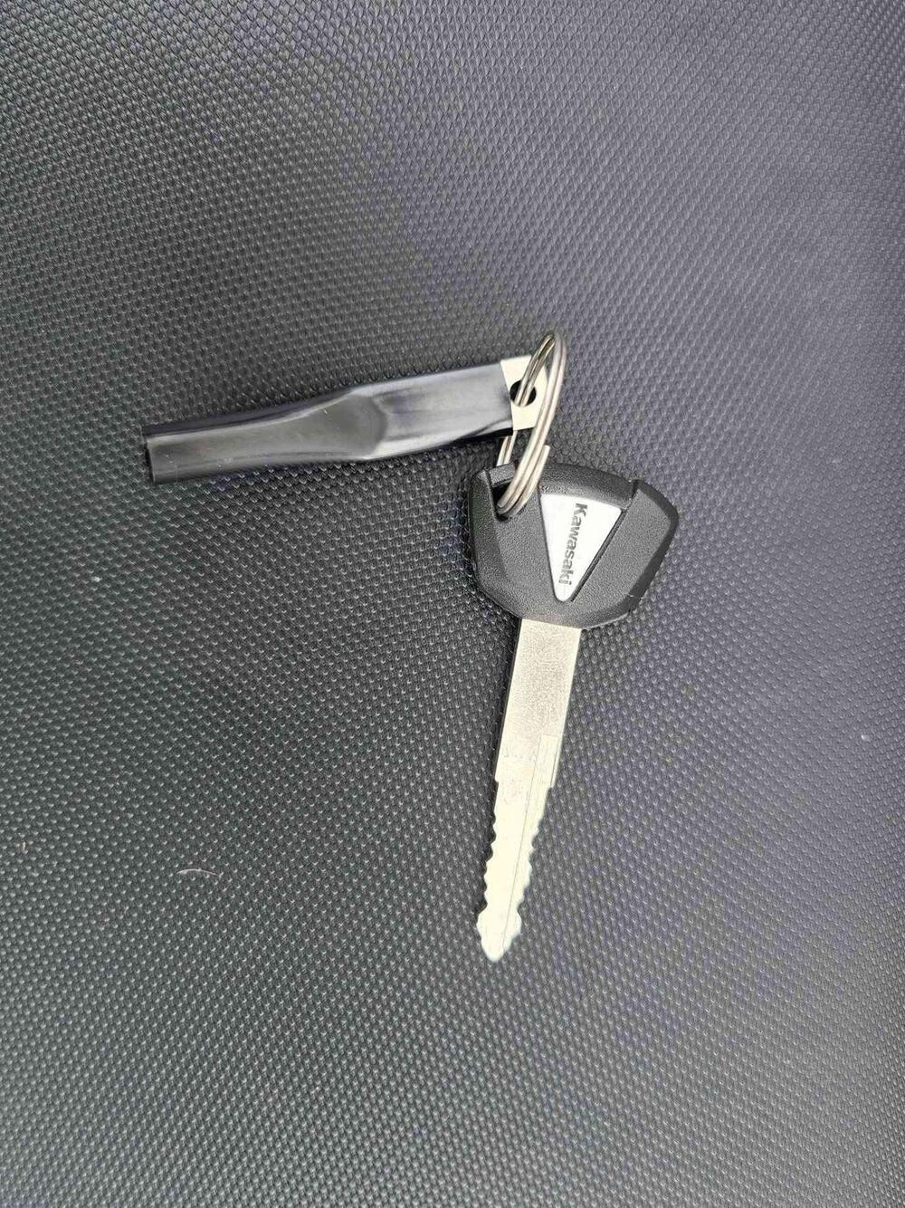 Kawasaki Versys 650 (2017 - 20) (19)