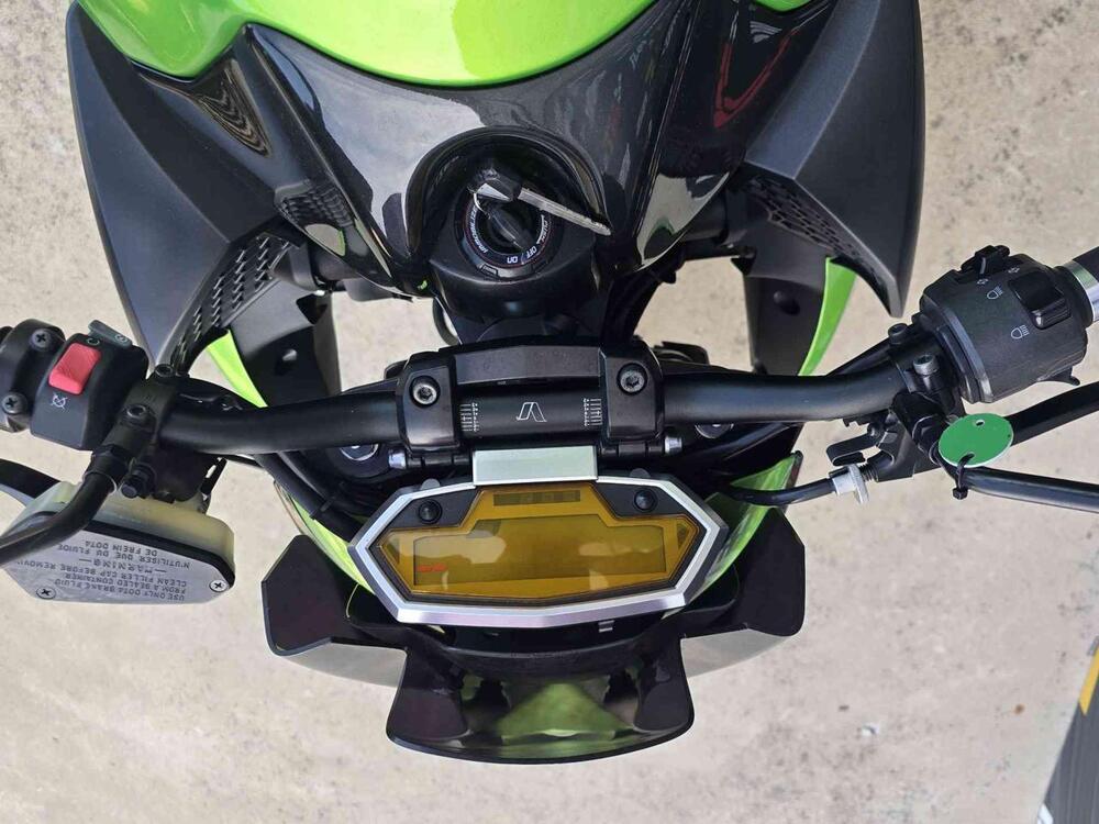 Kawasaki Z 1000 (2010 - 13) (10)