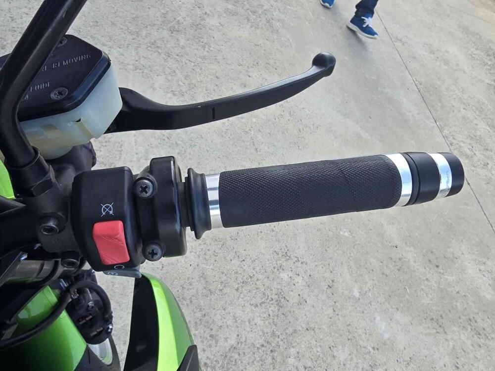 Kawasaki Z 1000 (2010 - 13) (12)