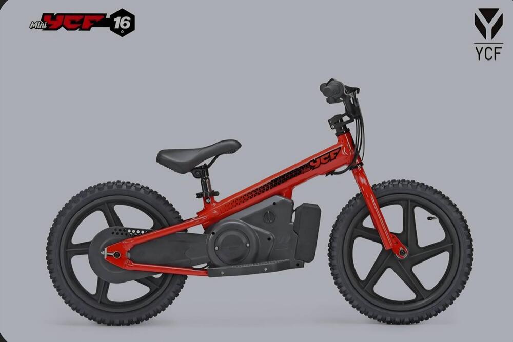 YCF Start W88E (2024 - 25)