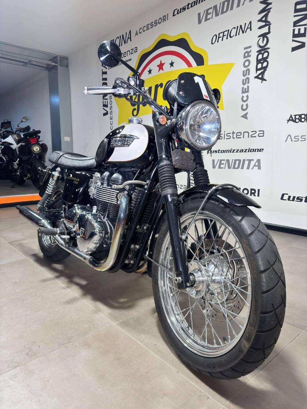 Triumph Bonneville T100 (2008 - 16) (2)