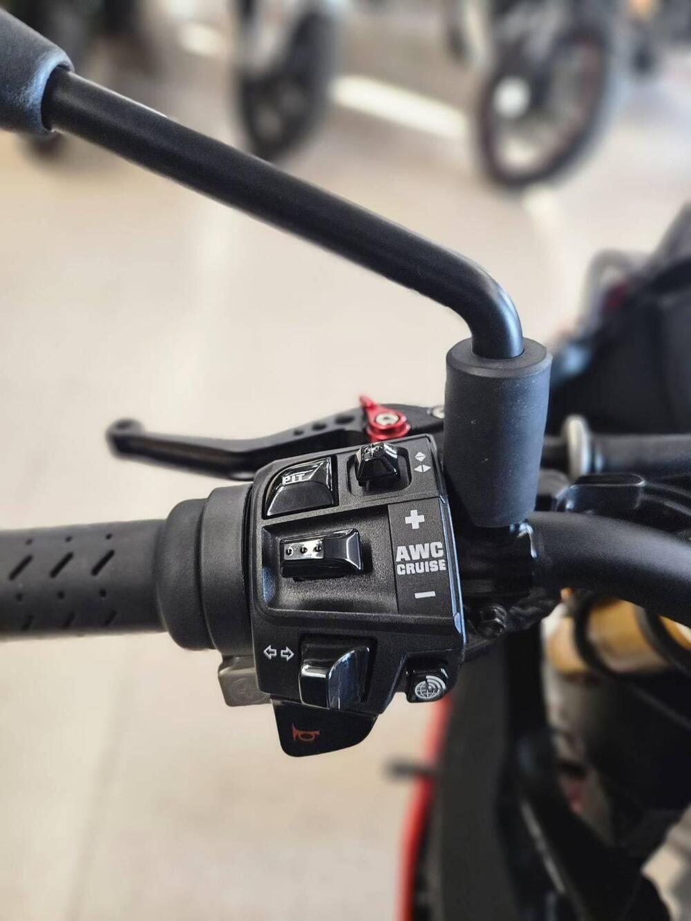 Aprilia Tuono V4 Factory (2017 - 18) (3)