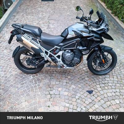 Triumph Tiger 1200 GT Pro (2022 - 23) usata