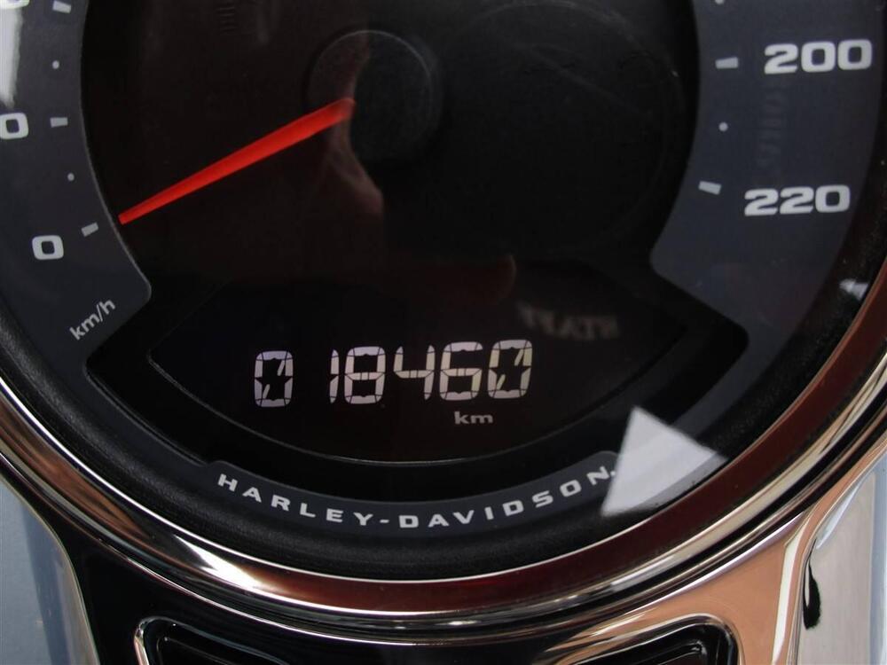 Harley-Davidson Sport Glide (2021 - 25) (9)