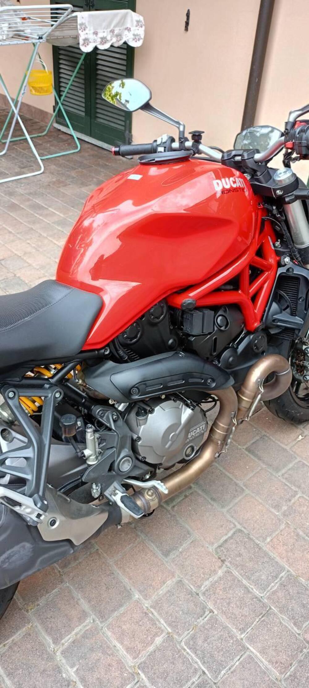 Ducati Monster 821 (2018 - 20) (5)