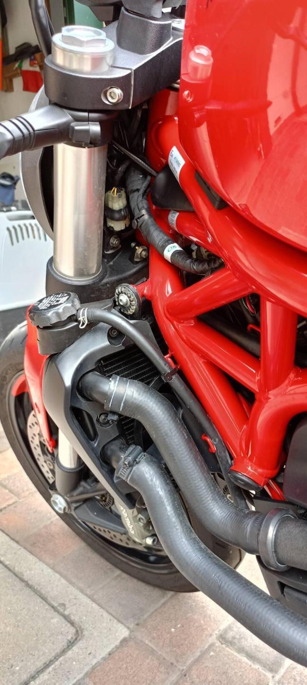 Ducati Monster 821 (2018 - 20) (7)