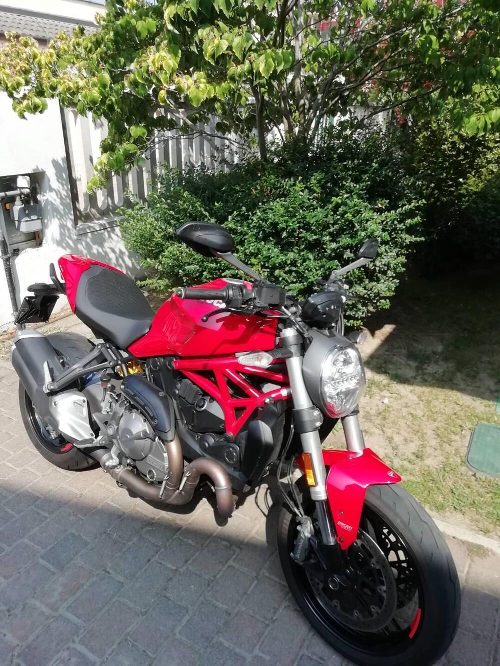Ducati Monster 821 (2018 - 20) (11)