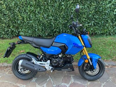 Honda MSX 125 Grom (2021 - 25) usata