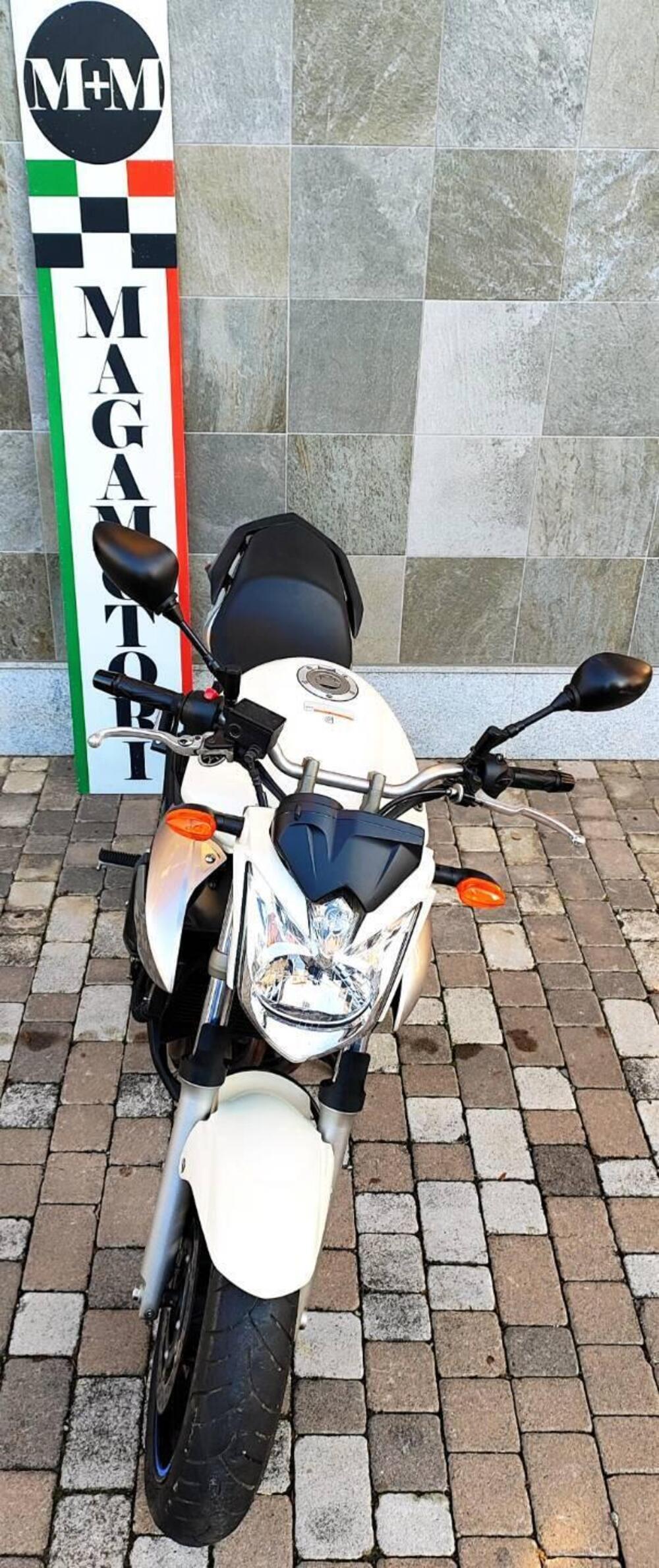 Yamaha XJ6 (2008 - 15) (8)