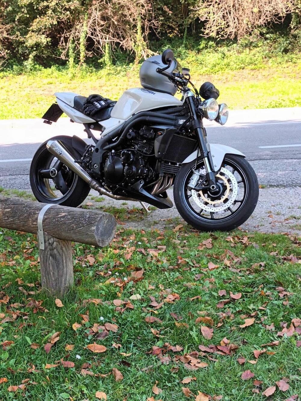 Triumph Speed Triple 1050 (2005 - 11) (2)
