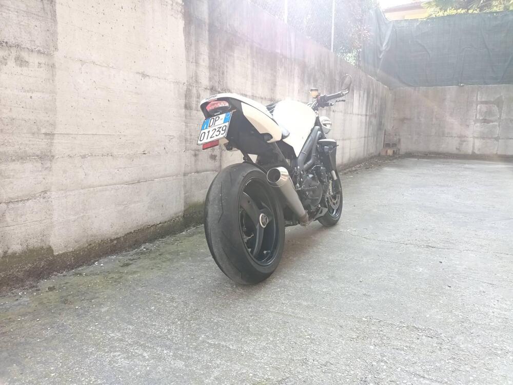 Triumph Speed Triple 1050 (2005 - 11) (6)