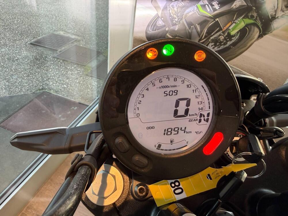 Kawasaki Eliminator 500 SE (2024 - 26) (7)