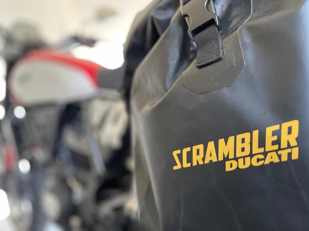 Ducati Scrambler 800 Icon (2023 - 25) (7)