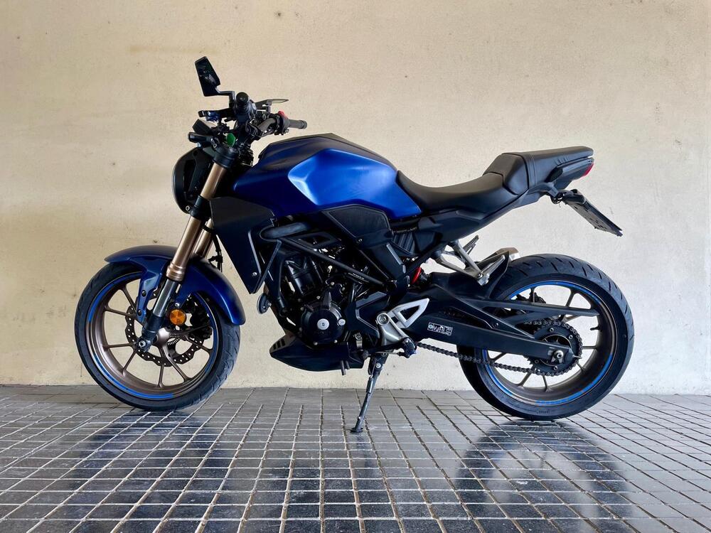 Honda CB 300 R (2022 - 25) (8)