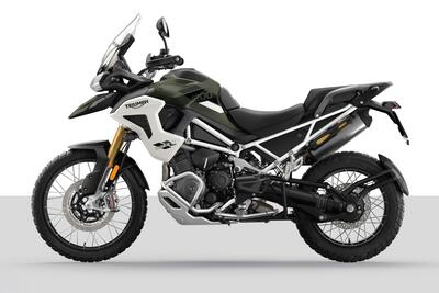 Triumph Tiger 1200 Rally Pro (2024 - 25) usata