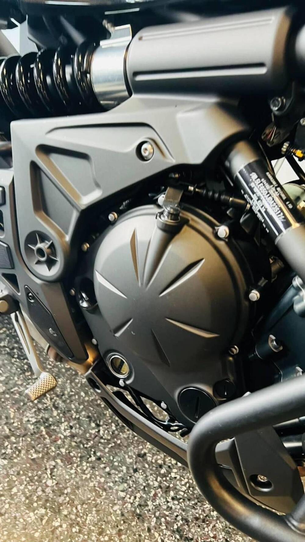 Kawasaki Versys 650 (2025 - 26) (11)