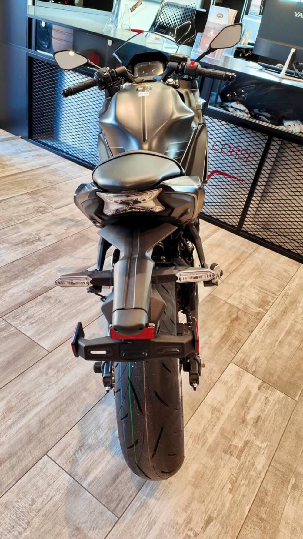 Kawasaki Ninja 650 (2025 - 26) (3)