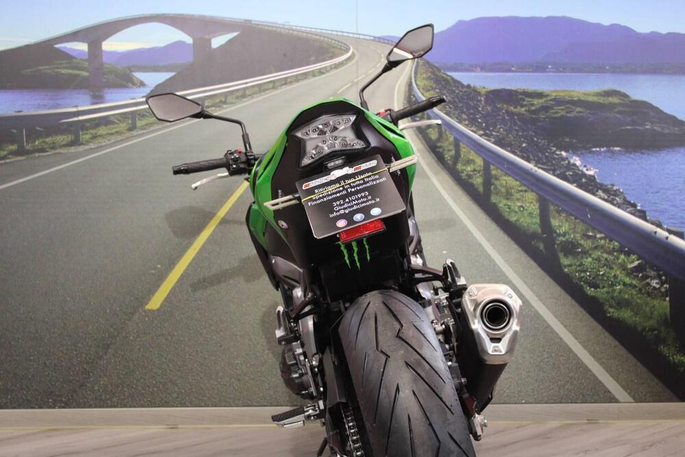 Kawasaki Z 900 (2017 - 18) (16)