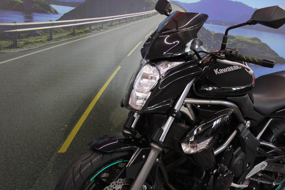 Kawasaki ER-6N (2009 - 11) (8)
